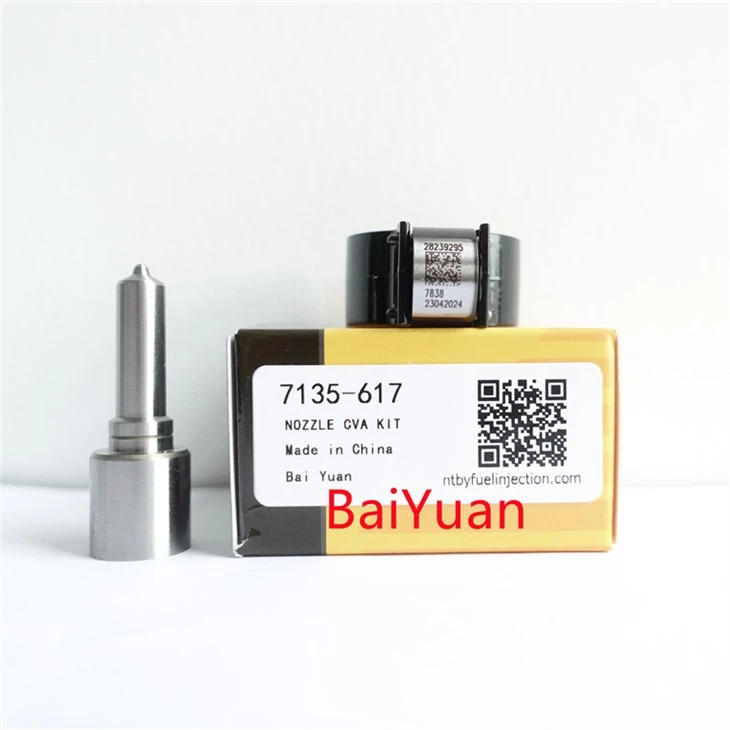 Repair Kit 7135-617 For Delphi Injector